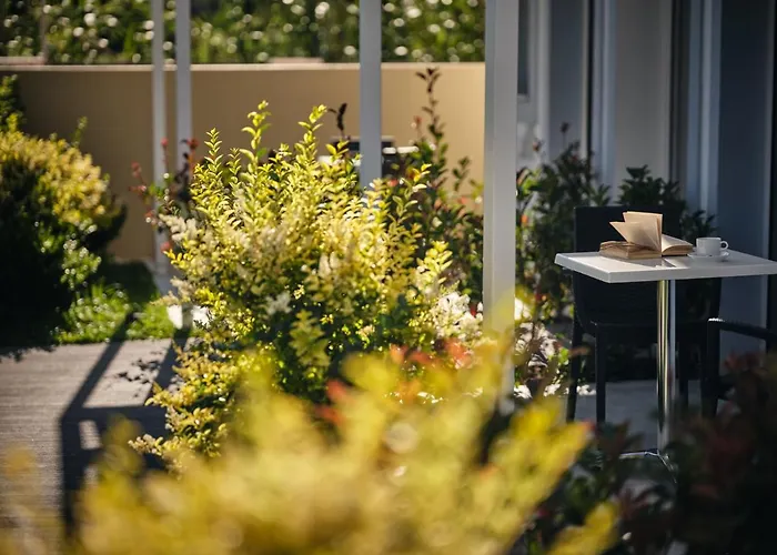 κάκτος Λαγανάς